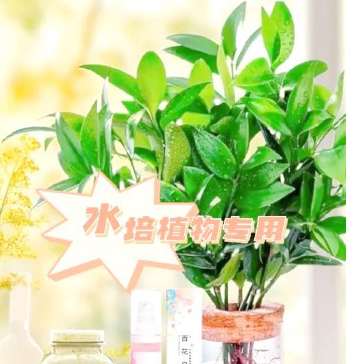 水培植物的营养液如何配制？