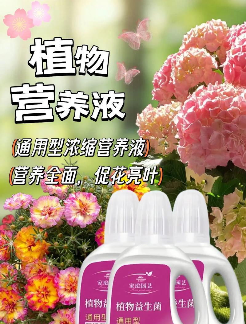 水培植物的营养液如何配制？