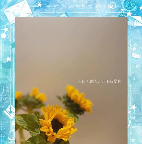 向阳花象征着什么？向阳花的花语有何特别之处？