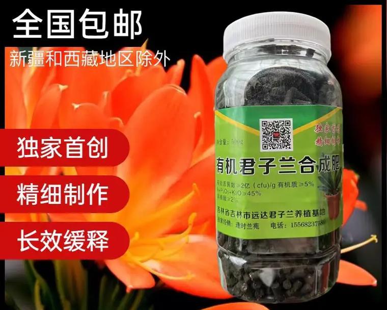 君子兰花期延长的秘诀是什么？
