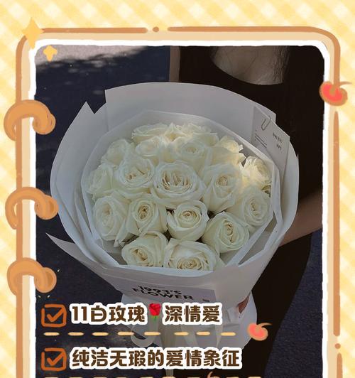 白玫瑰的花语是什么？它象征着怎样的情感？