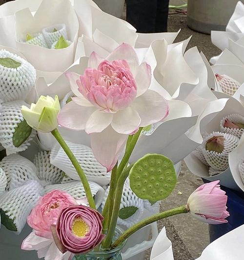 水晶莲蓬的花语是什么？它有何特殊含义？