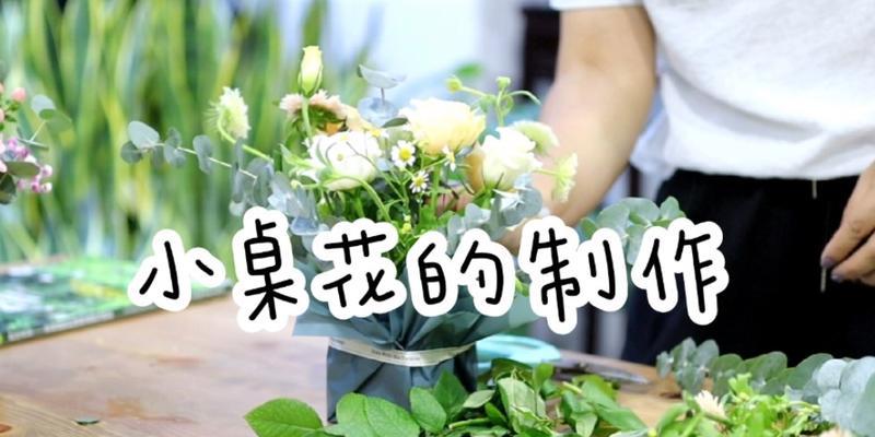 雏菊和桔梗的花语有何不同？它们的区别在哪里？