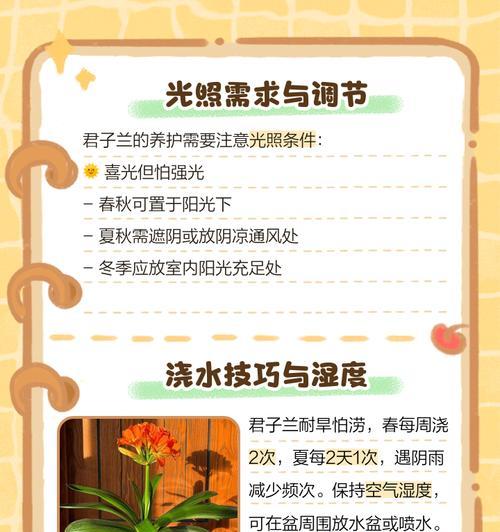 君子兰施肥的正确方法是什么？