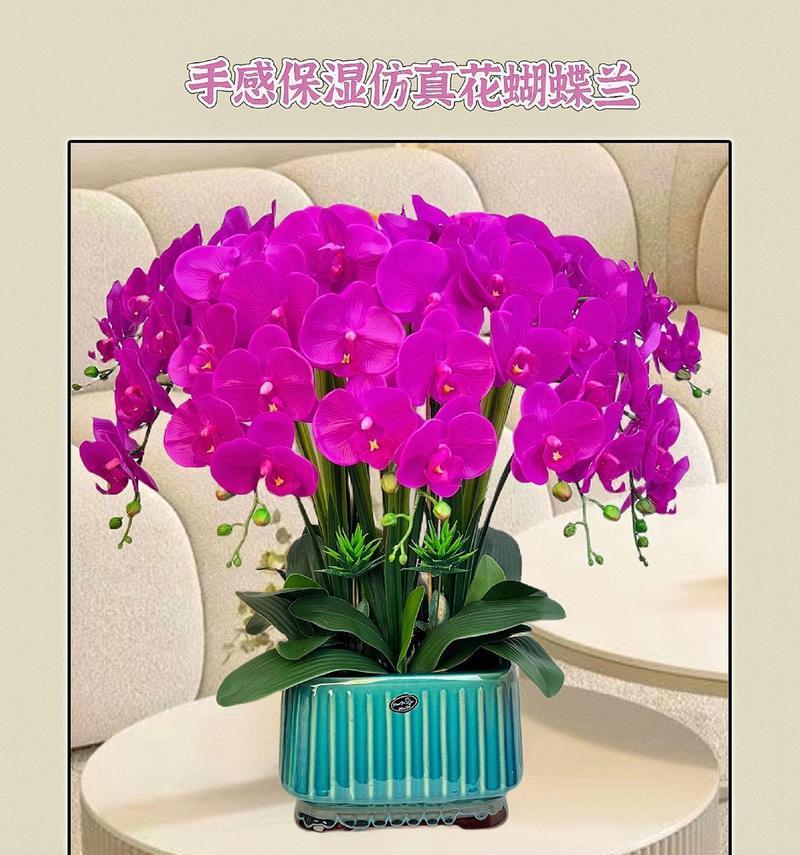 蝴蝶兰的花语是什么？蝴蝶兰的花语如何描写？