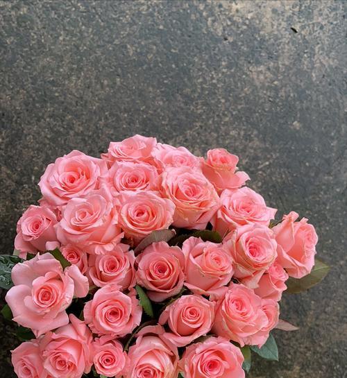 表达“我想见你”的花语是哪种花？