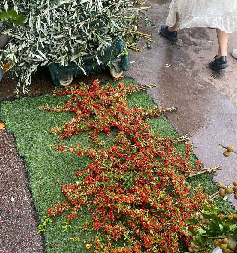 火棘果的花语是什么意思？火棘果代表什么？
