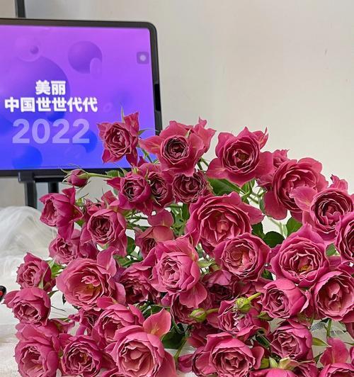 玫瑰花多头品种有哪些？各自的名称是什么？