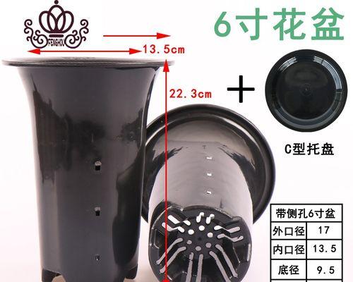 君子兰套黑塑袋叶子发黄的原因？