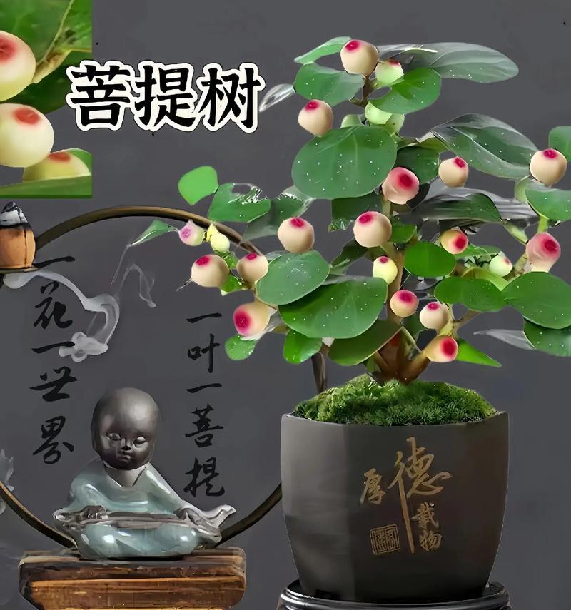 禅林花语在网络用语中代表什么？禅林花语的网络含义是什么？