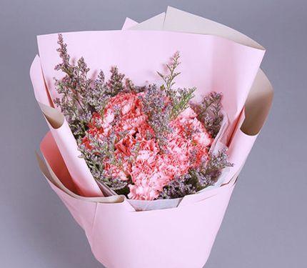 粉色安娜的花语代表什么？