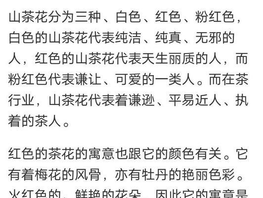 山茶花语的正确拼音是什么？山茶花语代表什么？