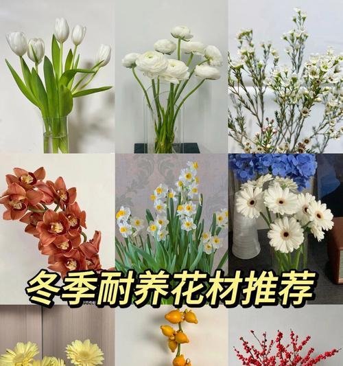 郁金香混搭的花语有哪些？如何通过混搭表达心意？