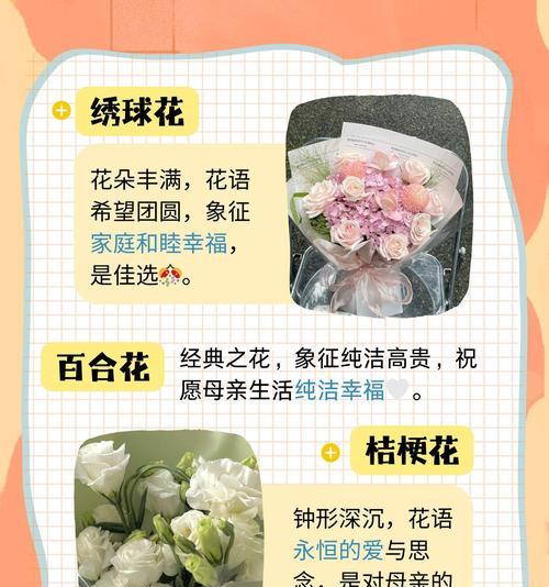 表达感谢的花朵花语是什么？