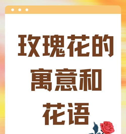 男士送鲜花代表什么爱情花语？