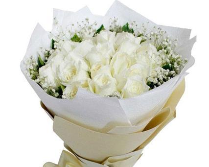 白色的玫瑰花象征着什么？它的花语有哪些含义？