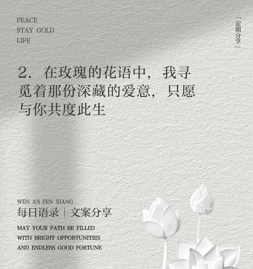沙仑玫瑰花语有何深意？