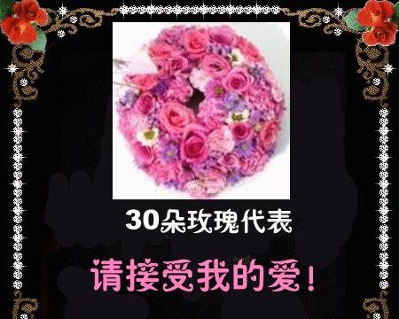 正视我的爱这个花语表达的是什么？