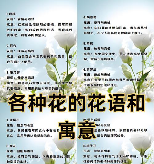 黑武士加红玫瑰花语是什么？黑红玫瑰组合有何含义？