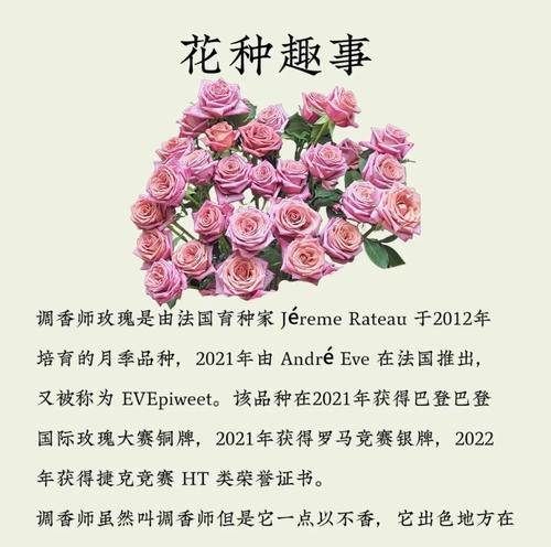 玫瑰牡丹香味代表了什么？