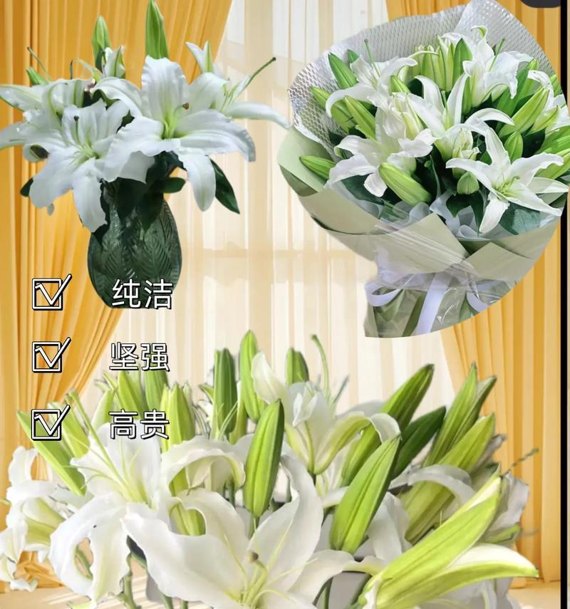 寓意与花语有何不同？