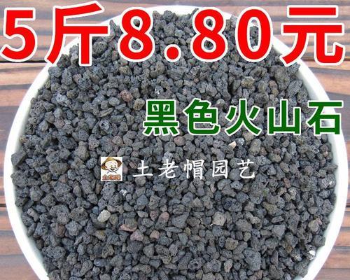 仙人球原产地的土壤有何特点？