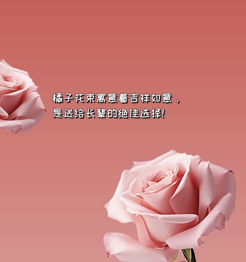 柑橘蔷薇的花语和寓意是什么？它传递了哪些情感？
