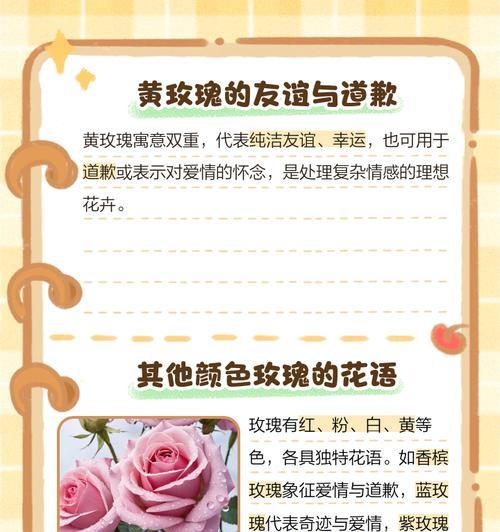 分手后送白色玫瑰花有何含义？它传达了怎样的情感？