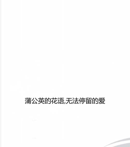 “停留原地”花语的含义是什么？