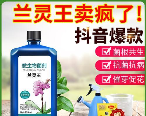 君子兰使用兰陵王浇水的频率是多少？