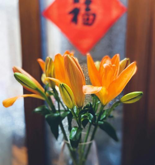 道具花的花语是什么？隐隐约约的花语有何深意？