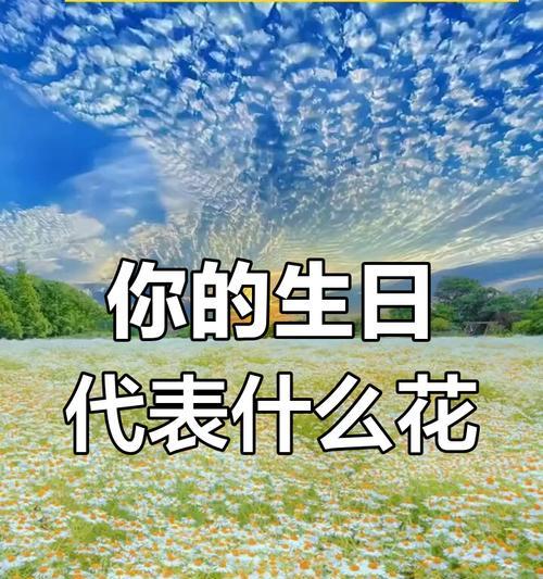 12月16日出生的人的生日花语是什么？