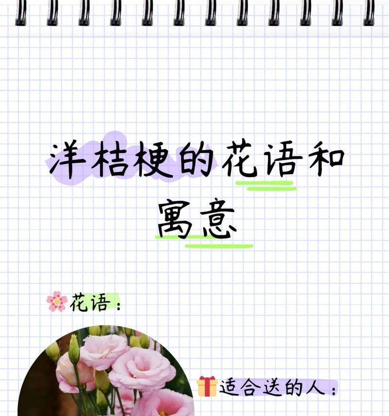 白桔梗花语代表了哪些情感？