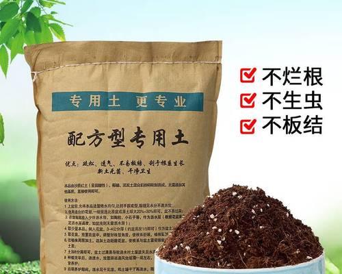 君子兰专用土的培植技巧有哪些？