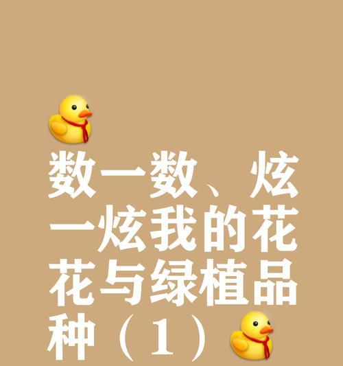小花朵仙人掌的养护技巧是什么？