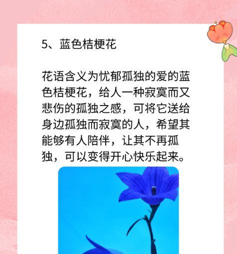 桔梗花花语是什么？两个字能概括吗？