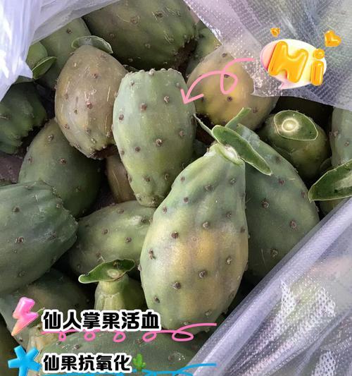 仙人掌果种植片如何正确种植？需要哪些步骤？