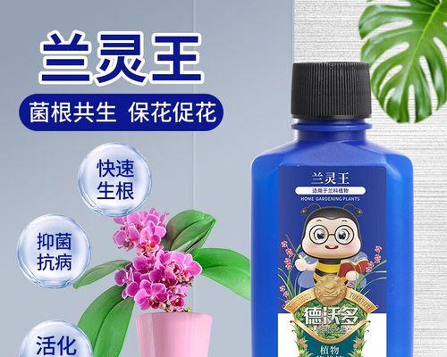君子兰的施肥技巧有哪些？哪种肥料最适合？