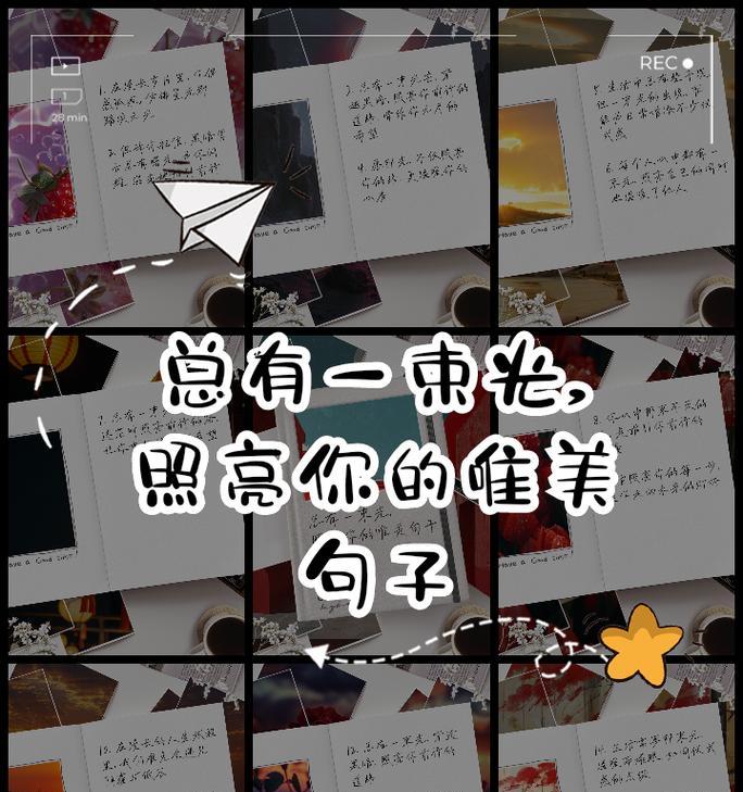 表达孤寂的花语有哪些简短句子？