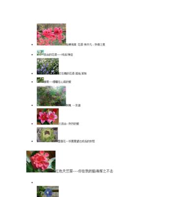 表达孤寂的花语有哪些简短句子？