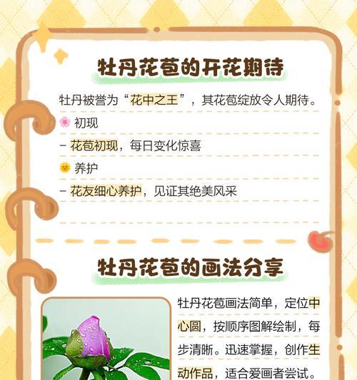 牡丹花苞的选择标准是什么？