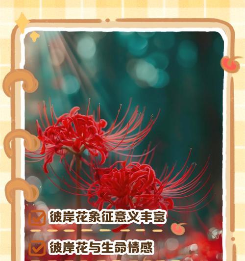 哪种花的花语是？花语通常表达什么情感？