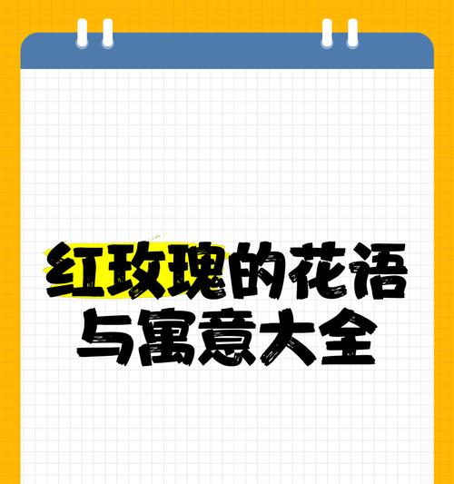 表白女生时哪种花语最合适？