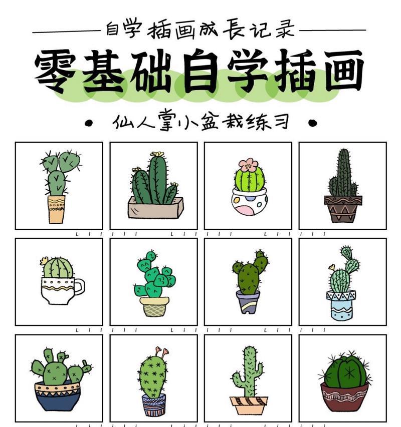 仙人掌拼盆栽的养护方法是什么？如何确保其良好生长？