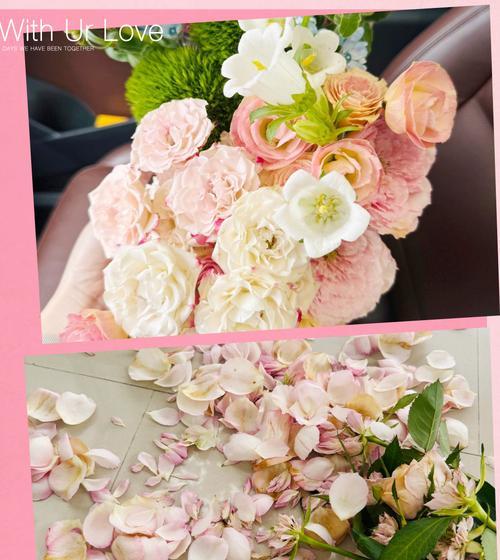 玫瑰花如何延迟花期？有哪些有效的方法？