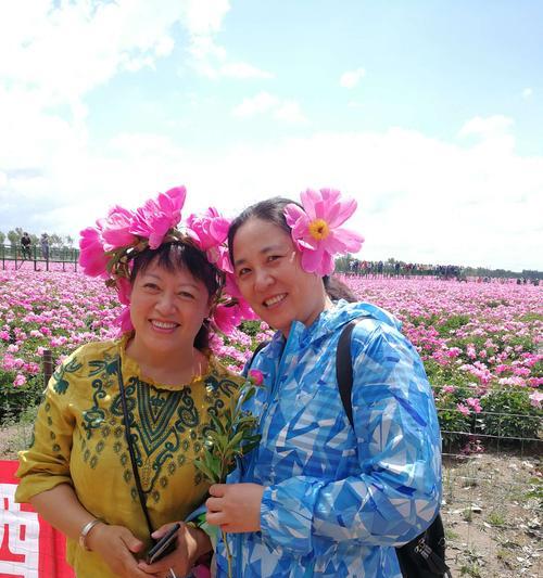 小土豆仙人掌种植方法？如何确保成活率？
