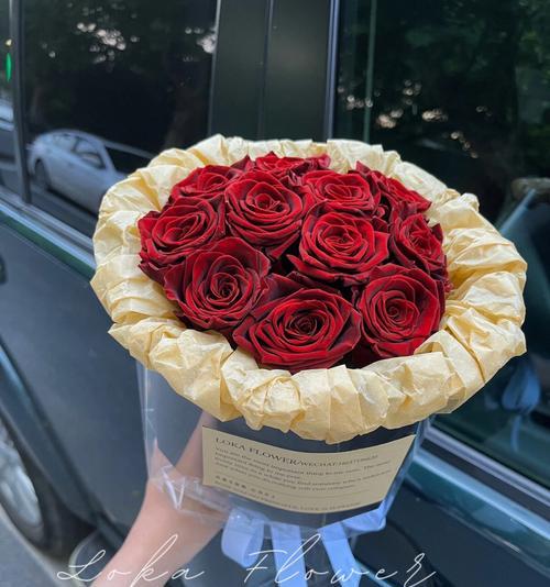 19朵酒红色玫瑰花语是什么？酒红色玫瑰的特别含义是什么？