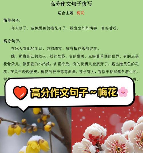 如何仿写梅花语句子？