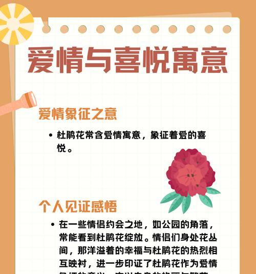 春天送给女性的花语是什么？它传递了哪些情感？