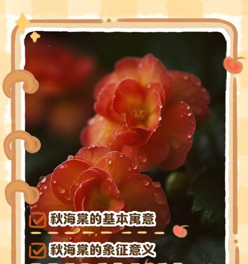 海棠花语和寓意是什么意思啊？海棠花在花语中有哪些含义？